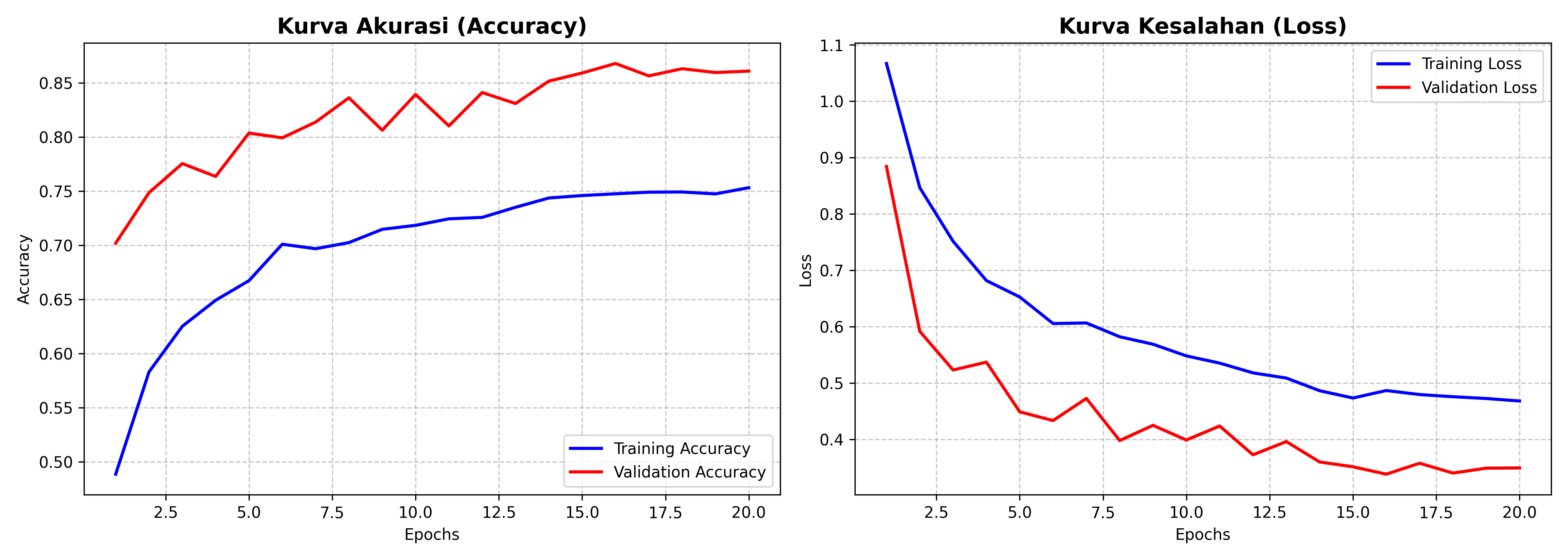 Training Curve